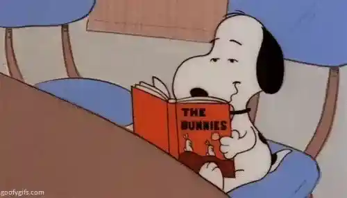 image of someone holding a book in a bookstore